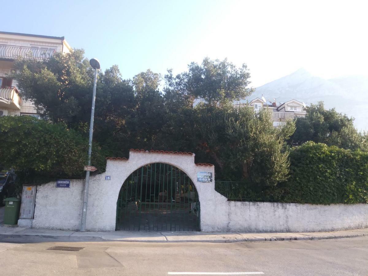 Leo Makarska